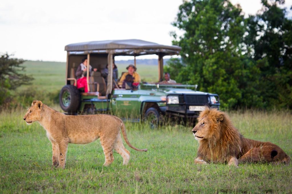 Post lockdown Kenya safaris