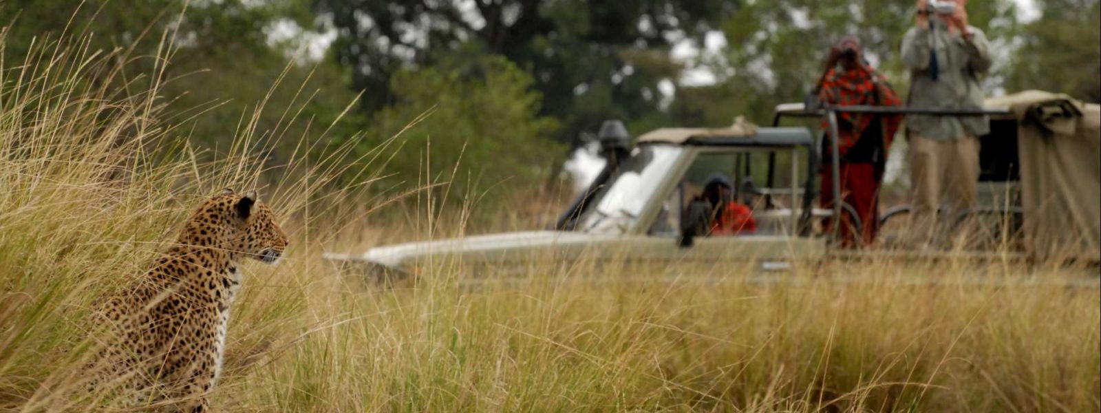 Leopard filming in East Africa