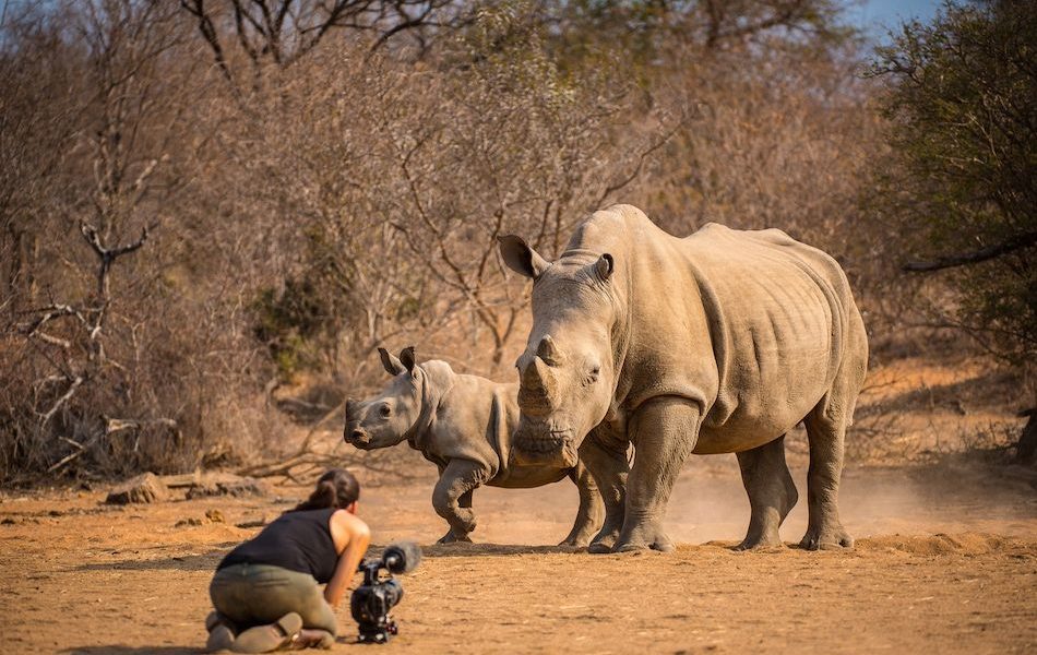 where to film Rhinos in Uganda - Rhino Filming In East Africa