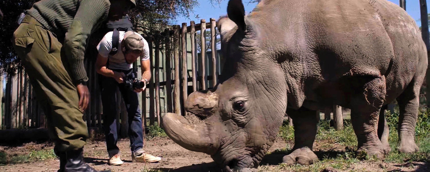 Rhino filming in Kenya