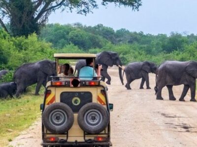 Tour Operator in Entebbe | Uganda Safaris for Diplomats