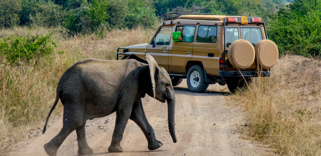 cheap safari to Murchison Falls NP - 3 Days