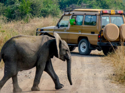 cheap safari to Murchison Falls NP - 3 Days