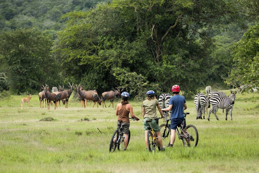 cycling Safari in Lake Mburo