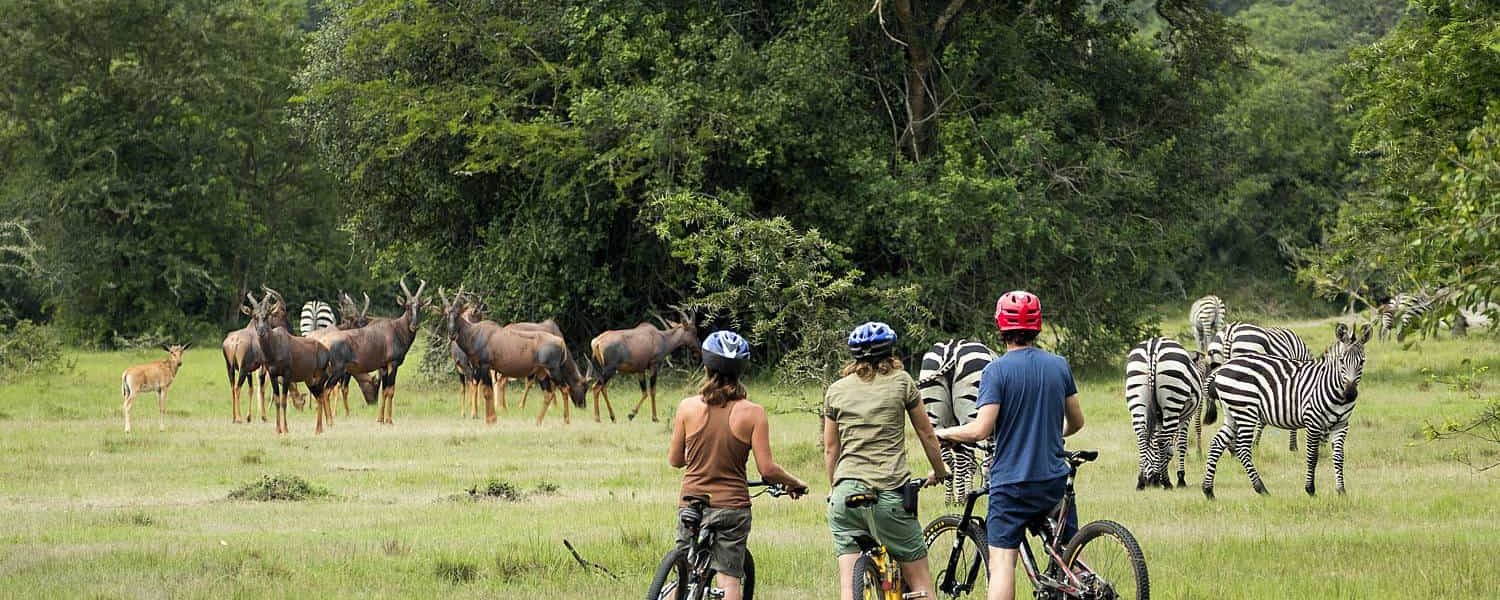 cycling Safari in Lake Mburo