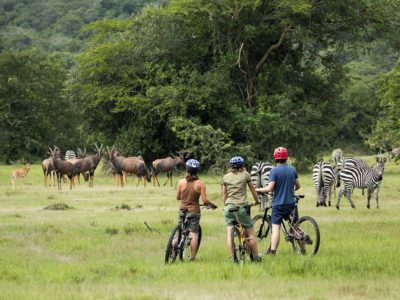 cycling Safari in Lake Mburo