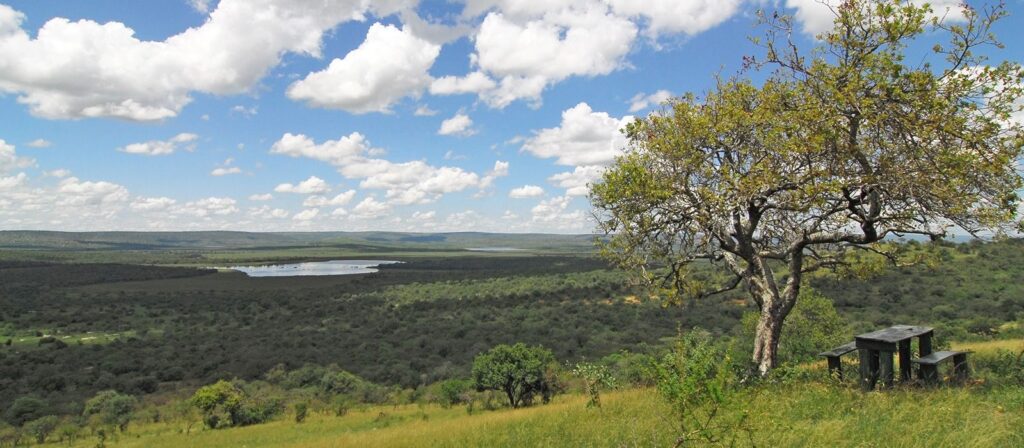 Safaris to lake Mburo National Park