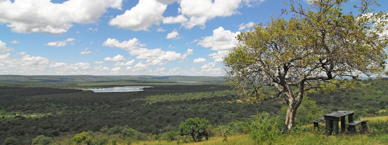 Safaris to lake Mburo National Park