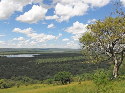 Safaris to lake Mburo National Park