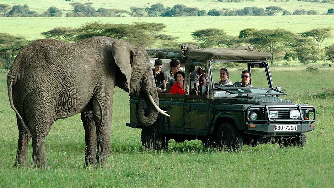Kenya Family Safari - 11 Days Luxury Kenya Family Safari Ideal for