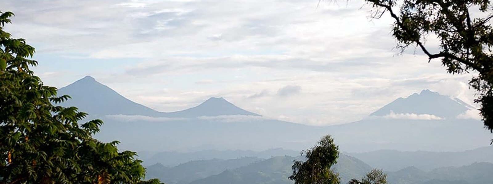 safari to Nkuringo region