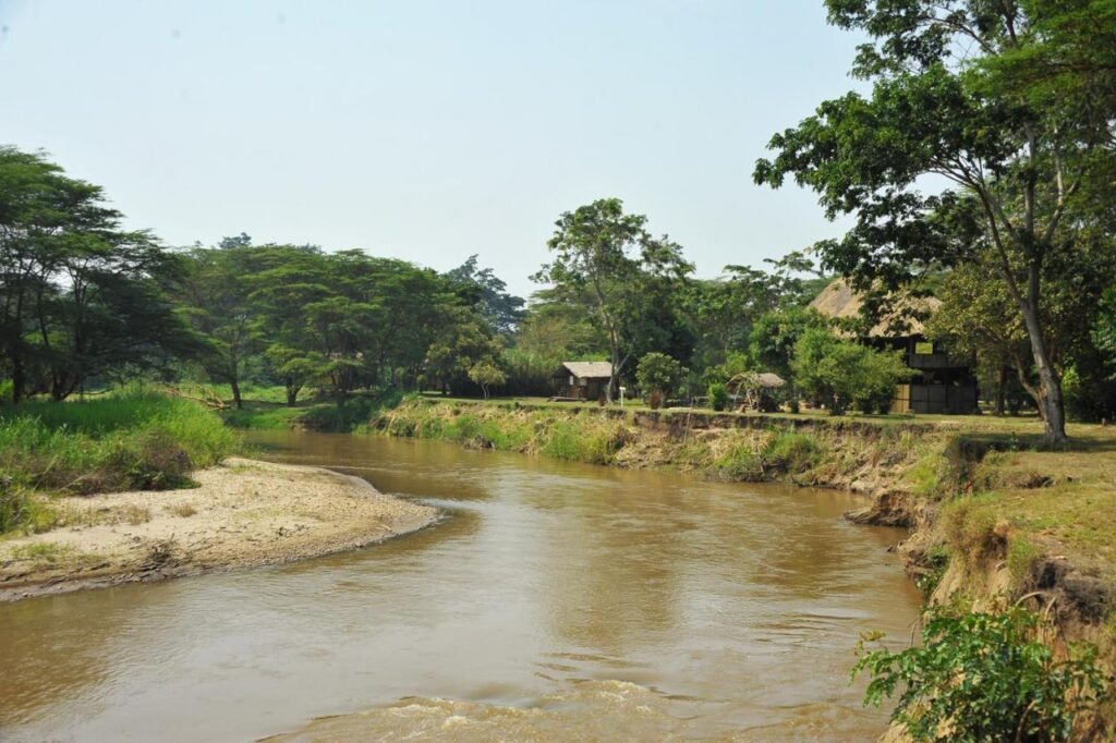 bullbush river camp - ishasha