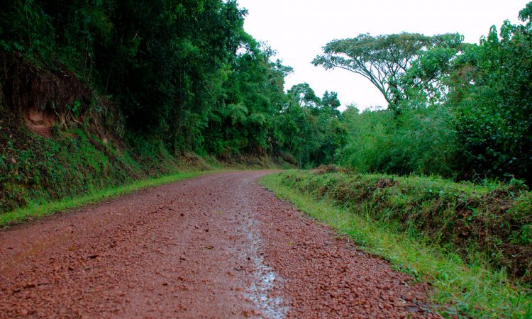 Getting to Bwindi from Kigali