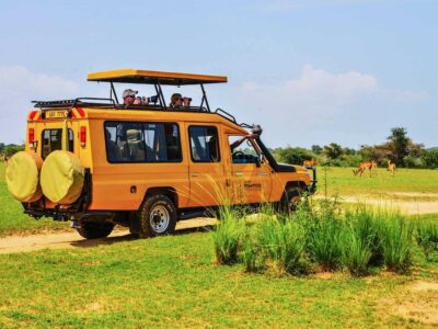 Game drive tracks in Murchison falls National Park