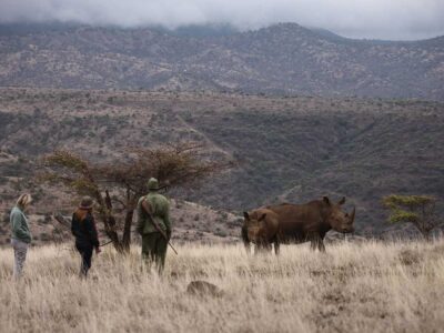 4 Days Kenya Safari to Lewa Conservancy