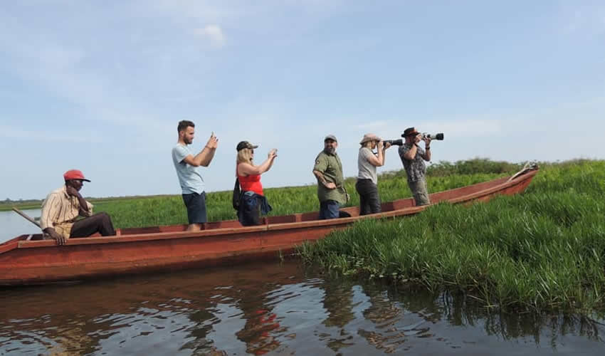 When is the best time to go shoebill tracking in Mabamba Swamp?