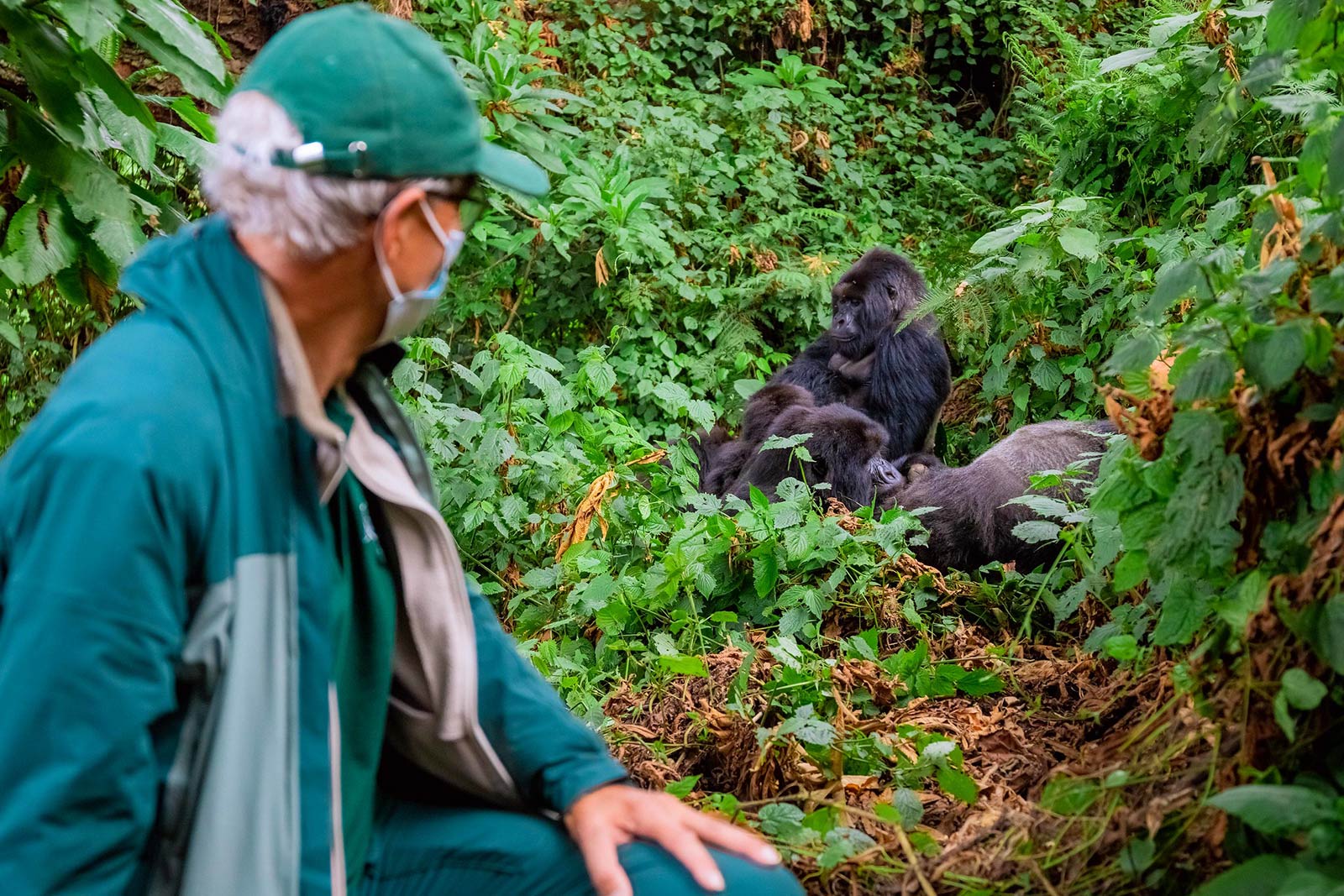 Trekking gorillas with Asthma