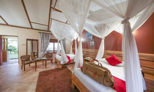 pakuba-safari-lodge - rooms with nets fitted on each bed