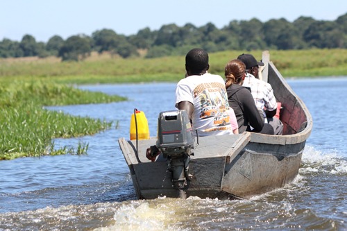 The Best way to get to Mabamba Swamp \ Getting to mabamba Swamp by boat