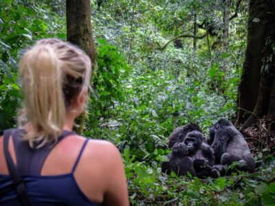 Gorilla trekking for a solo traveler