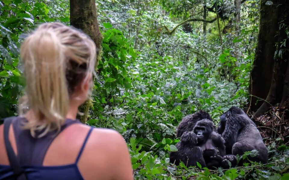 Gorilla trekking for a solo traveler