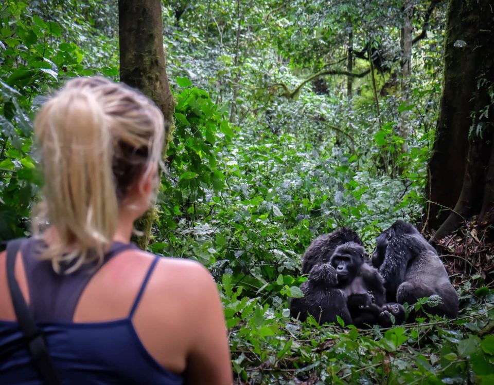 Gorilla trekking for a solo traveler