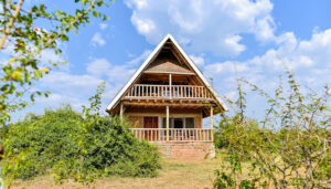 Tabingi Safari Lodge
