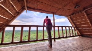 How much is a night at Tabingi Safari Lodge