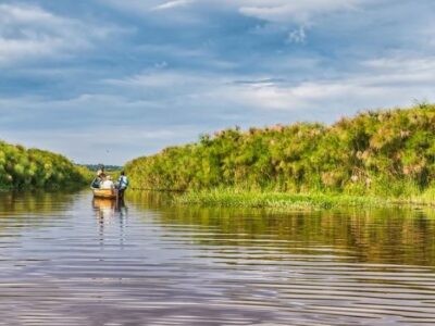 Best way to get to Mabamba Swamp