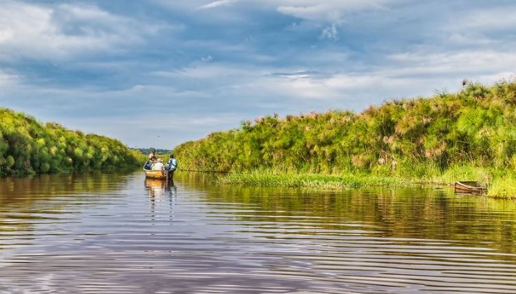 Best way to get to Mabamba Swamp