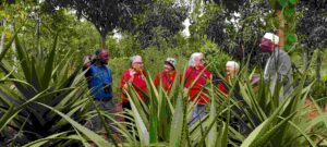 Farm tour at Ewaffe Cultural village