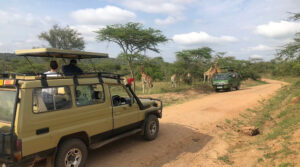 The-best-way-to-get-to-Rwakobo-Rock-Lodge-in-Lake-Mburo-National-Park