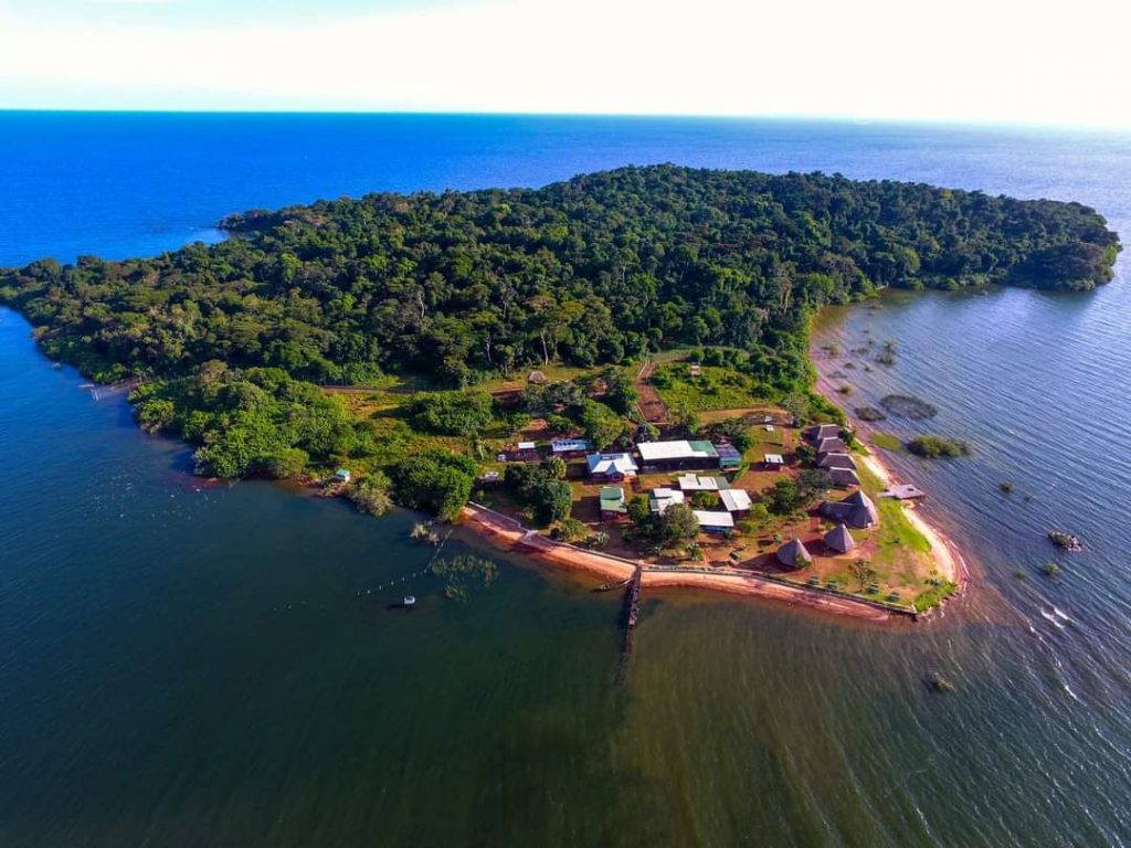 best time to visit Ngamba Island