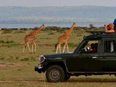 Top 5 things to see and do in Murchison falls National Park